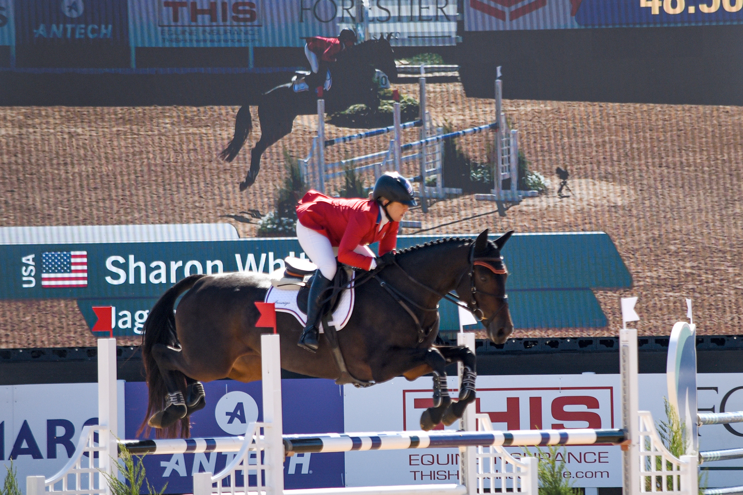 Horse jumping gate with their photo on the screen in the background
