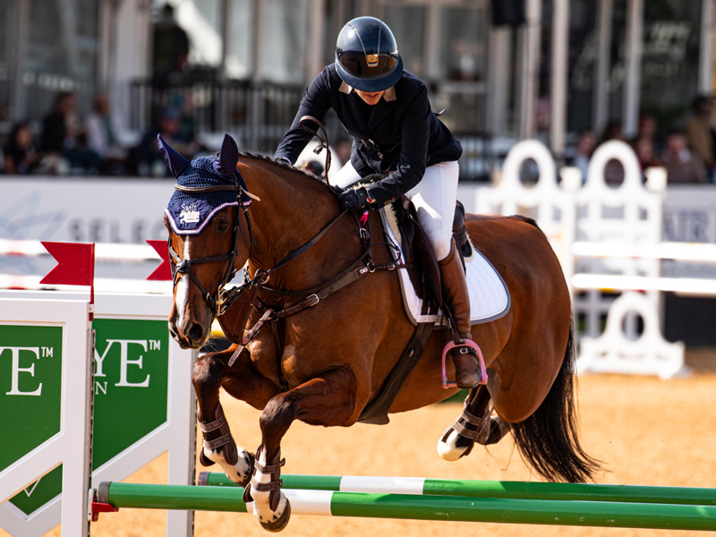 horse and rider in mid air clearing a jump