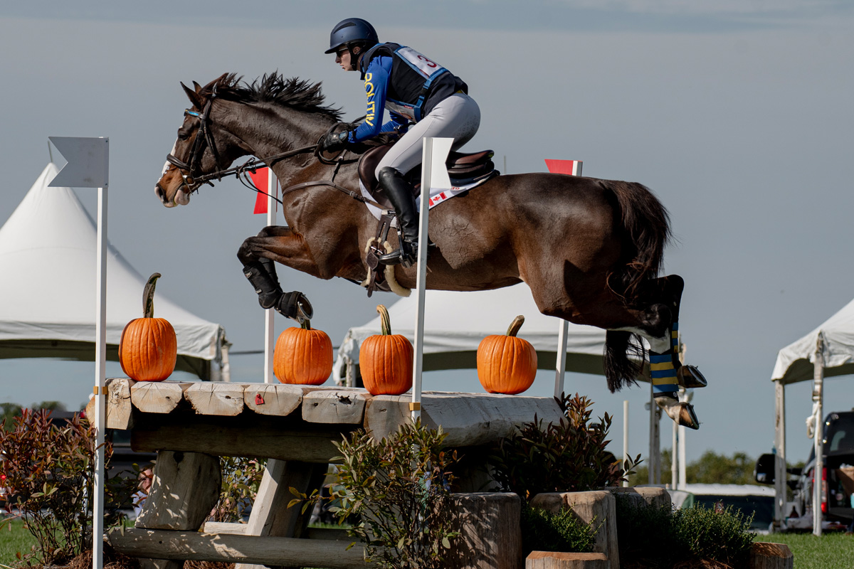 Rider and horse in mid air over a jump lined with pumpkins