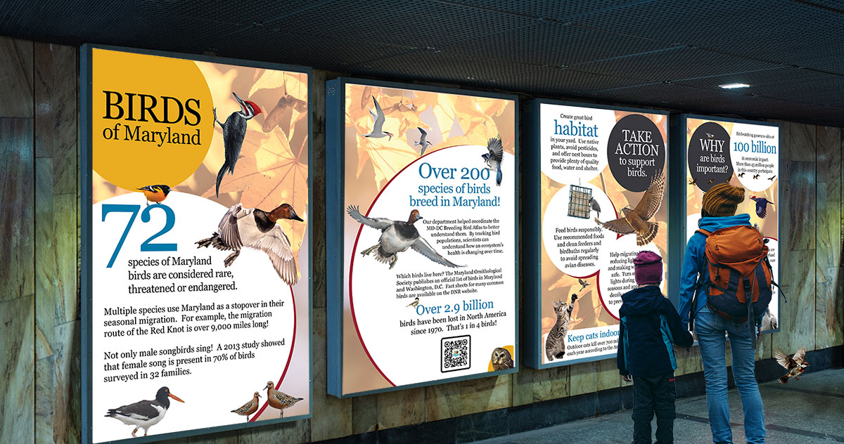 Birds of Maryland posters set on a city street scene with a mom and son looking at them
