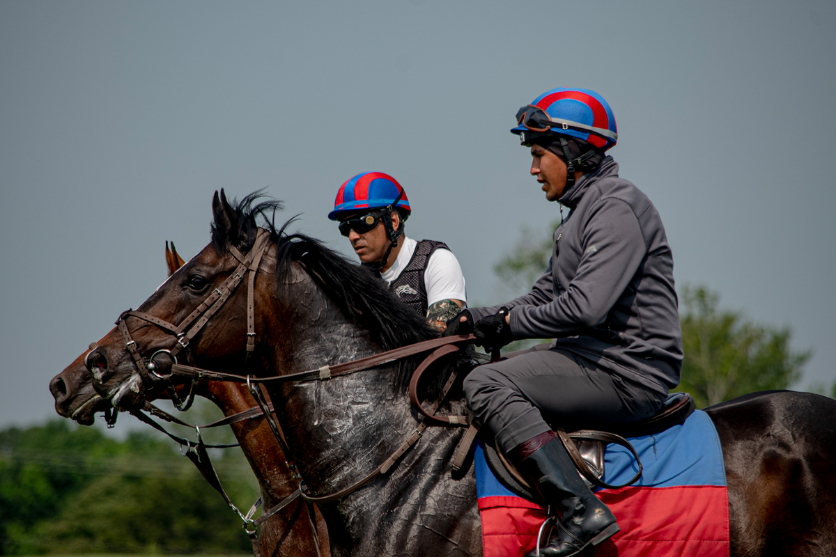 both horses and riders looking tired right after running the track at full speed