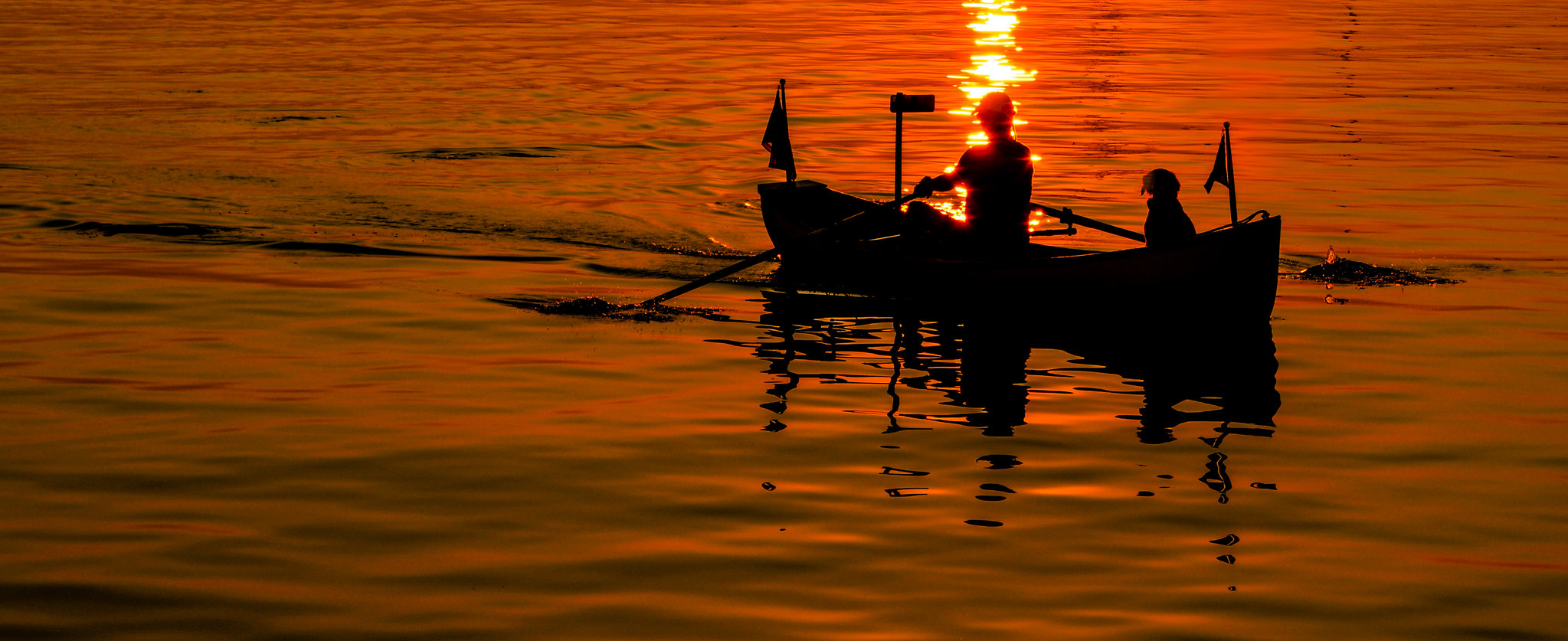 Man and dog in kayak