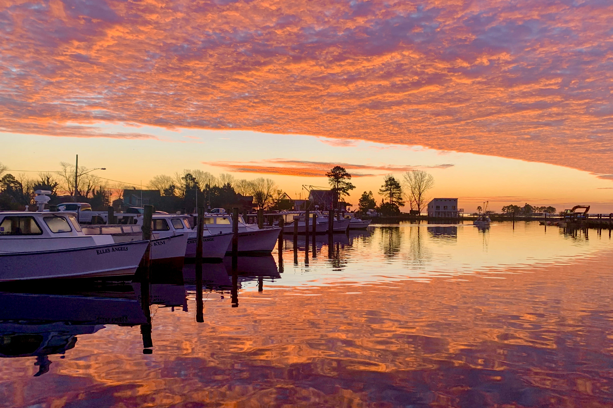 Dogwood Harbor sunrise